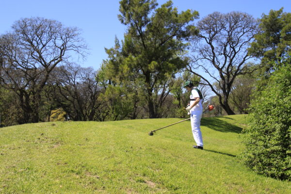 servicios especiales Star Union